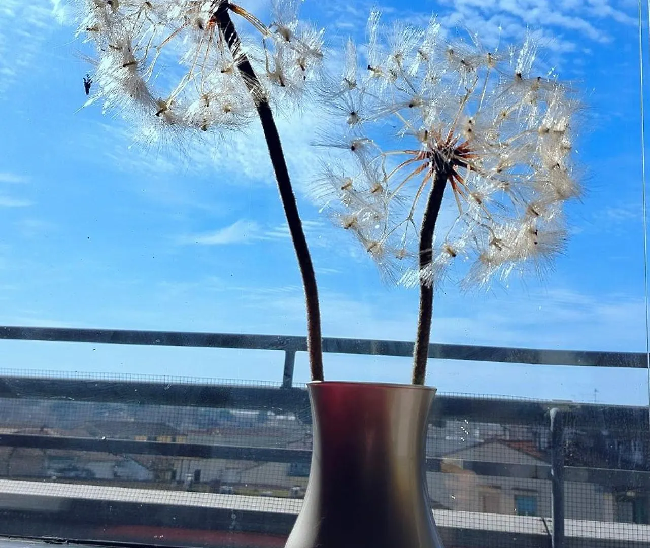 Διαμέρισμα Dandelion Home Viareggio Stazione Fs Ιταλία