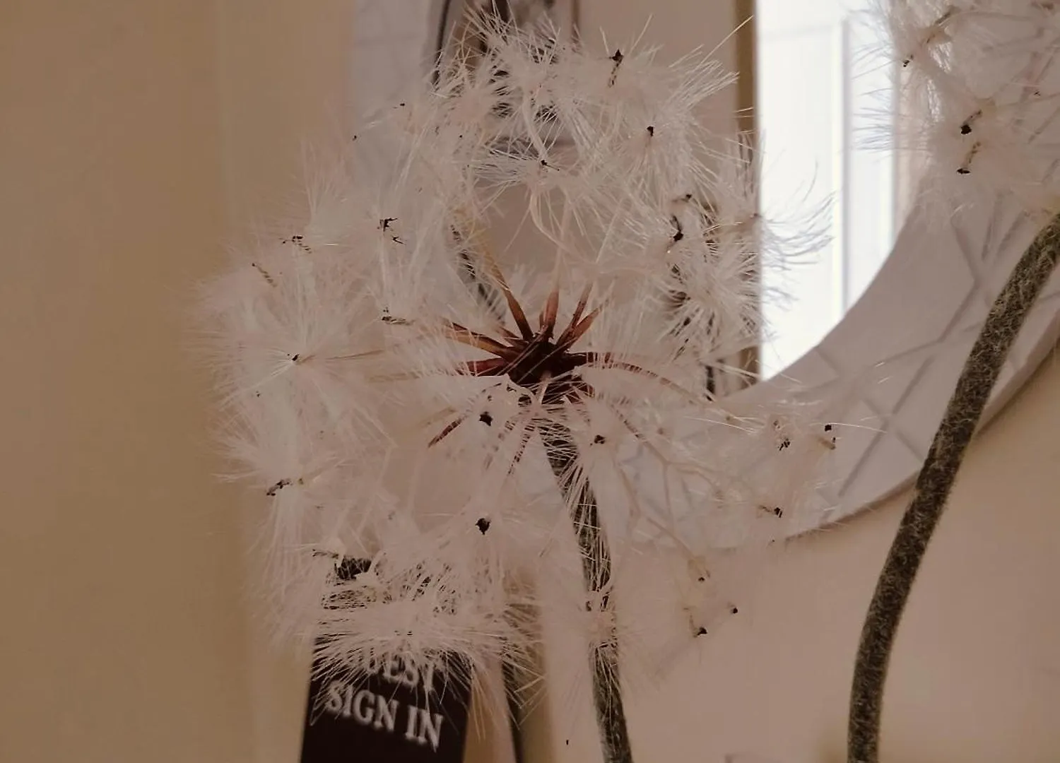 Διαμέρισμα Dandelion Home Viareggio Stazione Fs Ιταλία